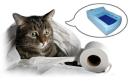 Chance 2022 Weltneuheit Katzenklo mit Wasserspülung.